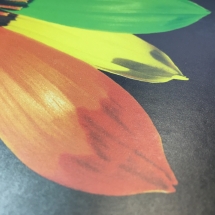 Печать на постерной бумаге